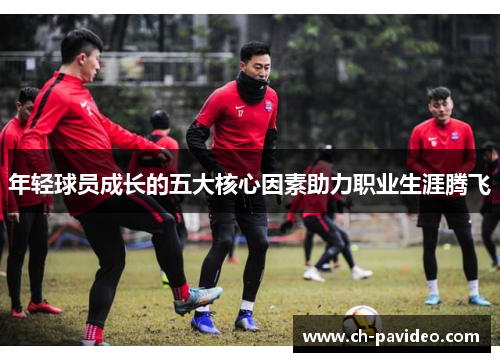 年轻球员成长的五大核心因素助力职业生涯腾飞