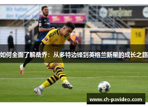 如何全面了解桑乔:从多特边锋到英格兰新星的成长之路 如何全面了解桑乔:从多特边锋到英格兰新星的成长之路