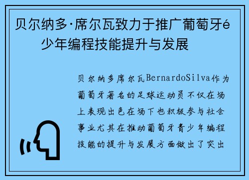 贝尔纳多·席尔瓦致力于推广葡萄牙青少年编程技能提升与发展