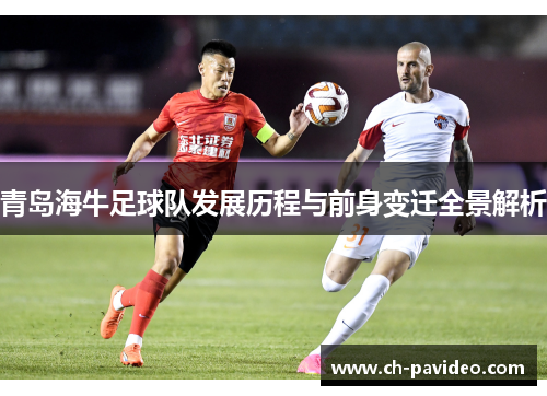 青岛海牛足球队发展历程与前身变迁全景解析 青岛海牛足球队发展历程与前身变迁全景解析