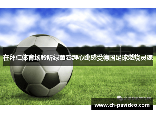 在拜仁体育场聆听绿茵澎湃心跳感受德国足球燃烧灵魂