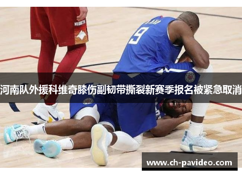 河南队外援科维奇膝伤副韧带撕裂新赛季报名被紧急取消