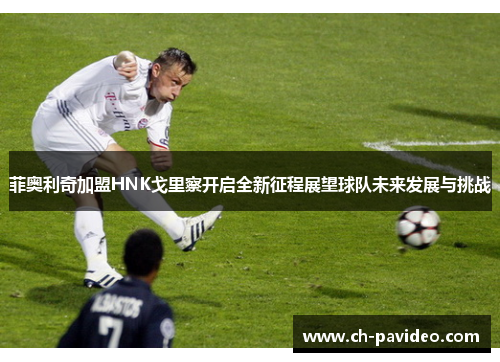 菲奥利奇加盟HNK戈里察开启全新征程展望球队未来发展与挑战